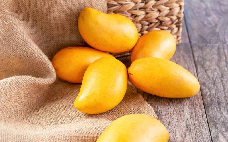 فواید باورنکردنی انبه